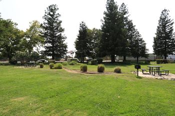 A park with picnic tables and trees
